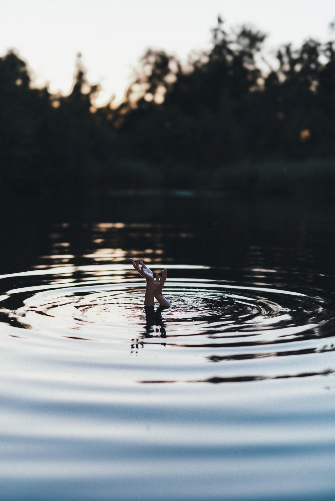 Summer Reflections & the Season of Flow